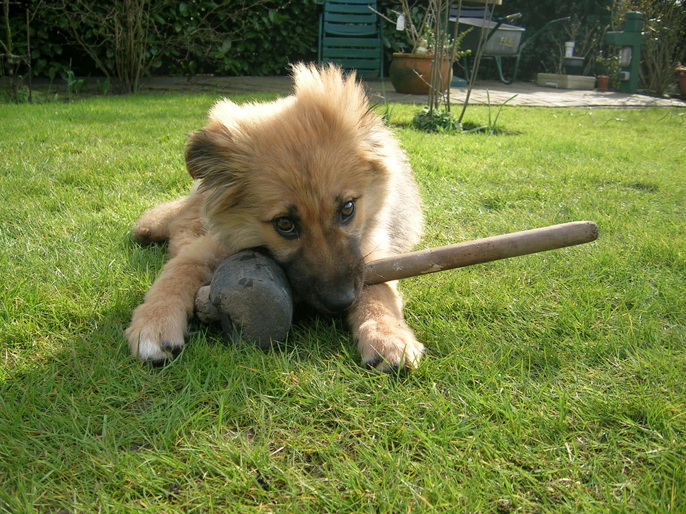 Ein Hammer ist zum hämmern da