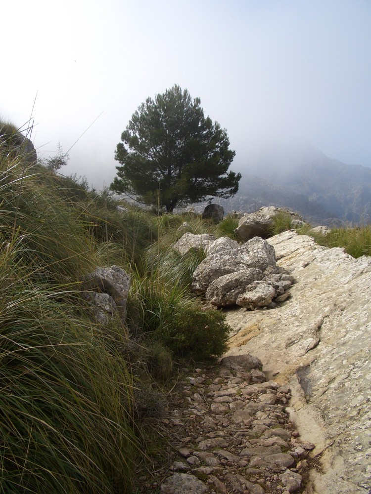 Ein harter, steiniger Weg