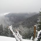 ein Harz spaziergang