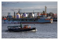 Ein Hase namens Tiger unterwegs im Hamburger Hafen