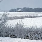 Ein Haubarg in der Weite der Schneelandschaft