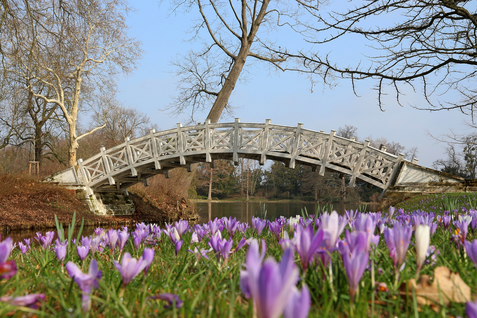 Ein Hauch China im Frühling