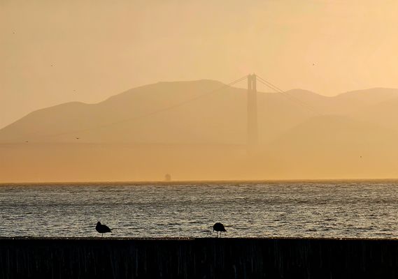 Ein Hauch der Golden Gate