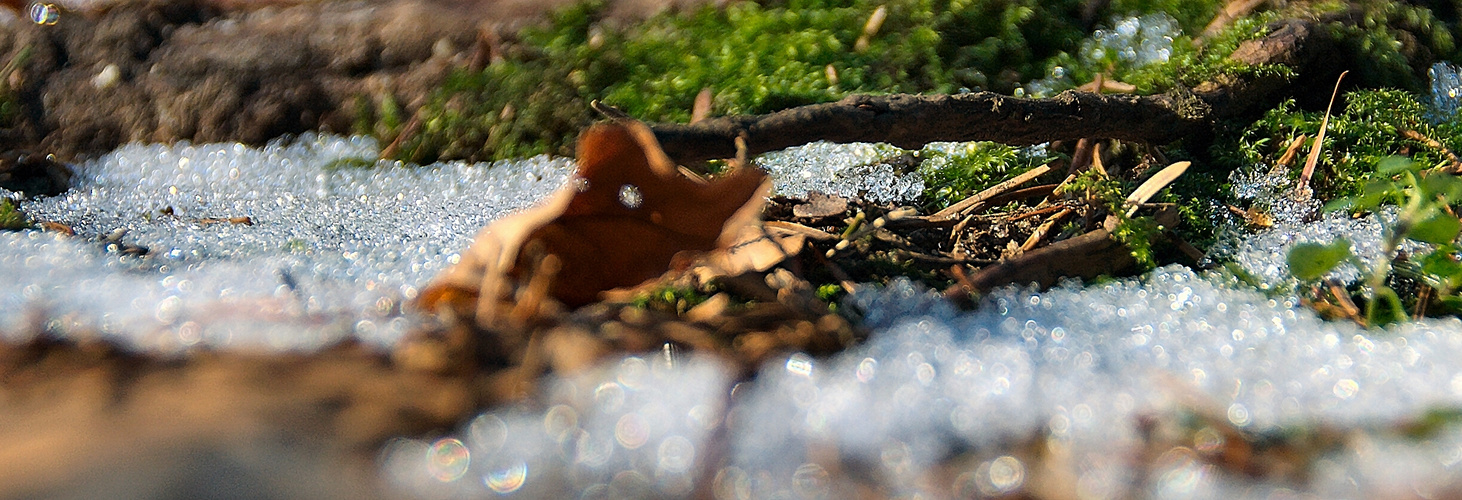 ---ein hauch frühling---