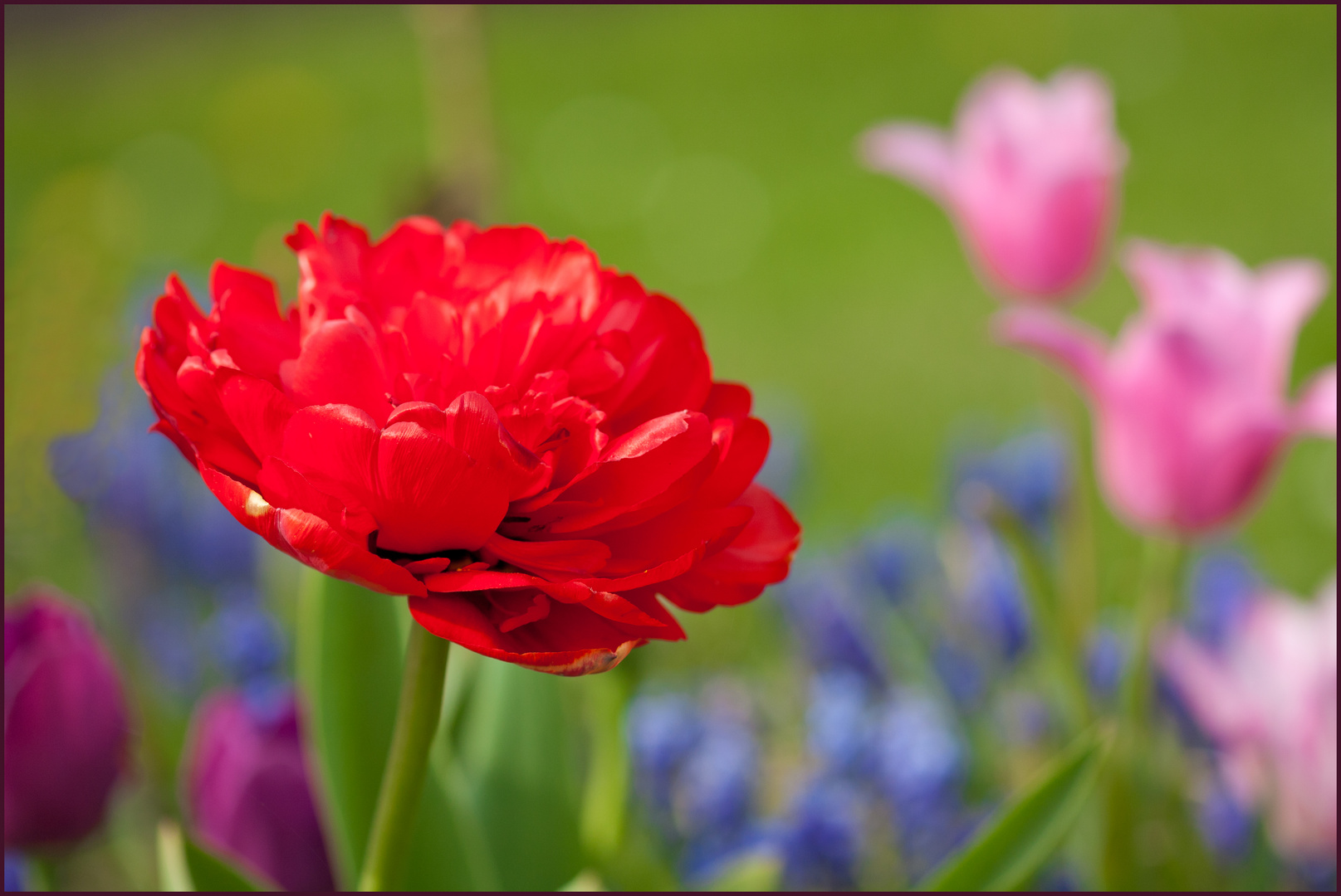 Ein Hauch Frühling...