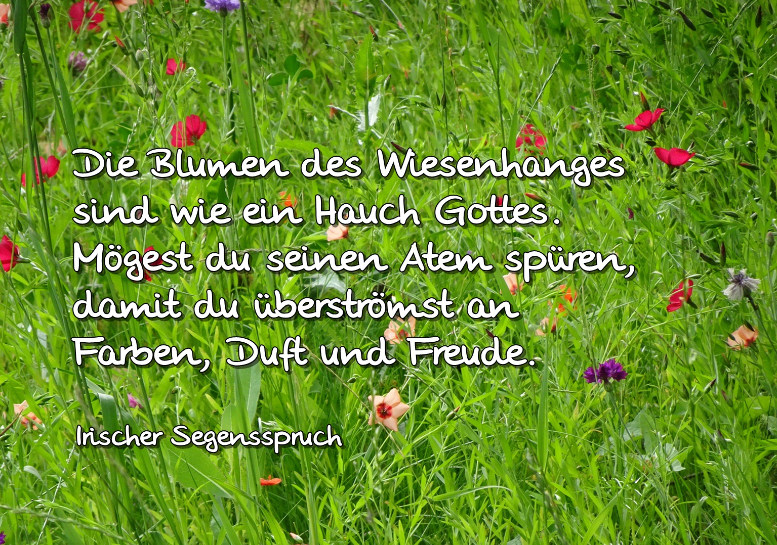 Ein Hauch Gottes