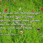 Ein Hauch Gottes