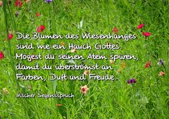 Ein Hauch Gottes