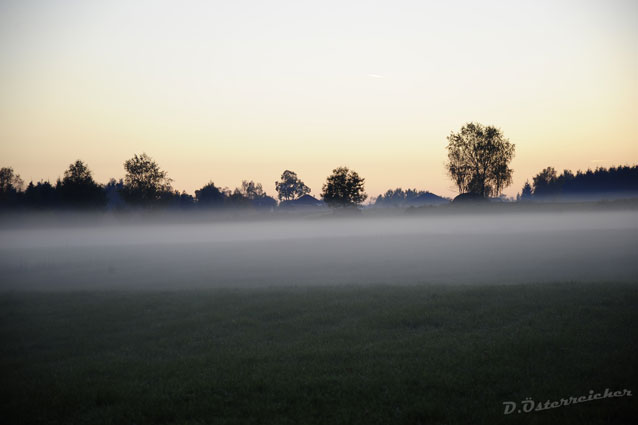 Ein "Hauch" Natur..