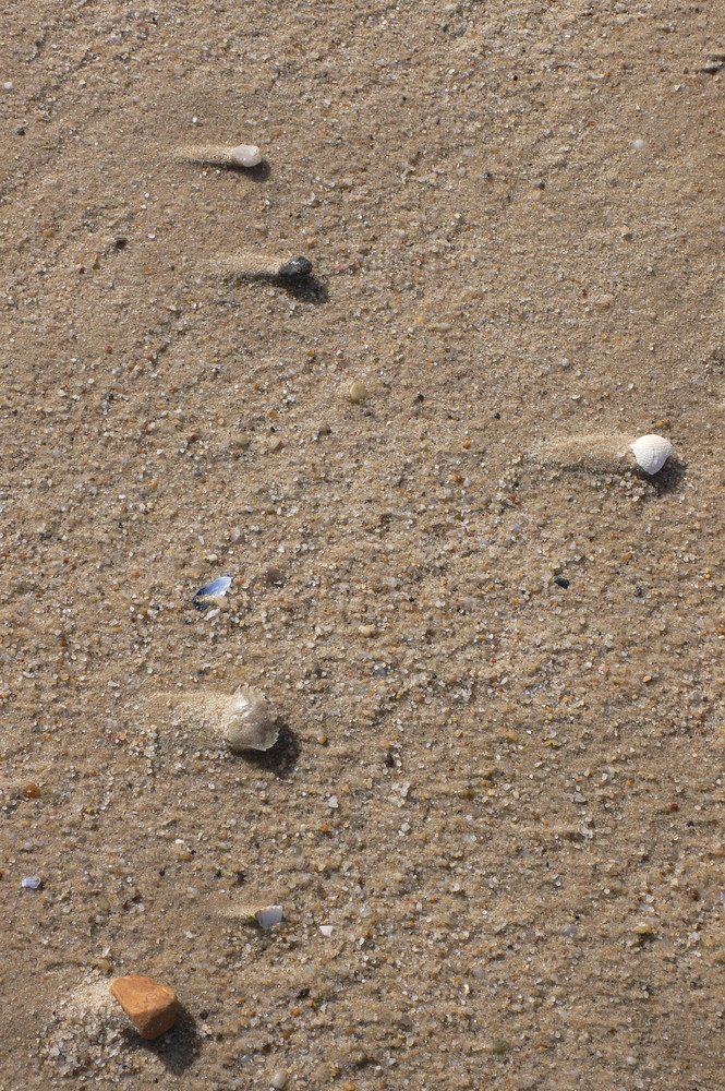 Ein Hauch Natur (Sylt)