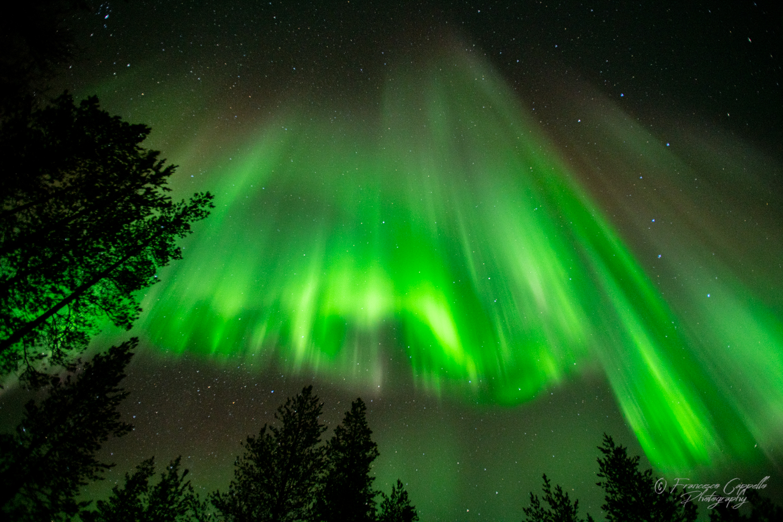 ein Hauch Nordlicht