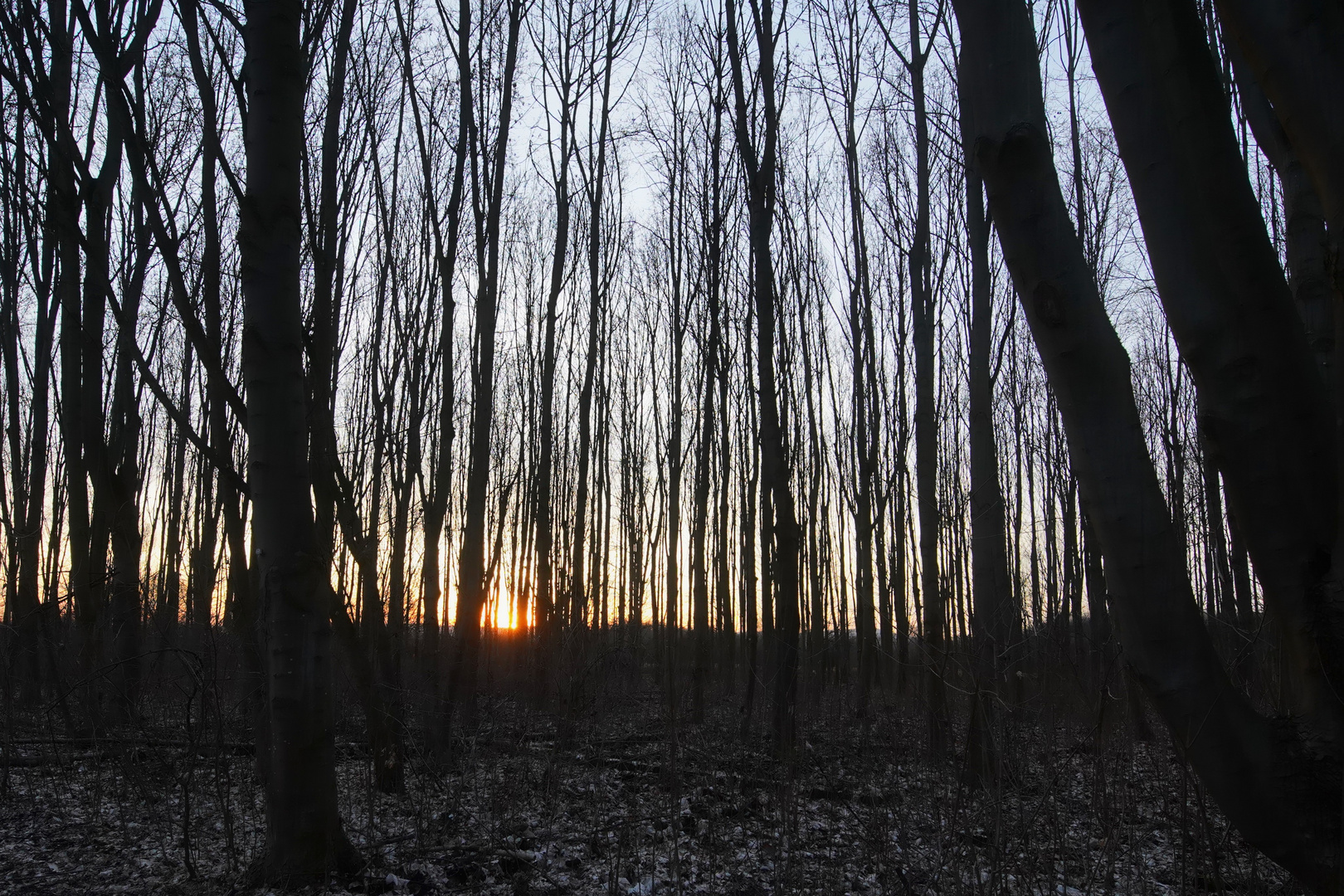 Ein Hauch Orange