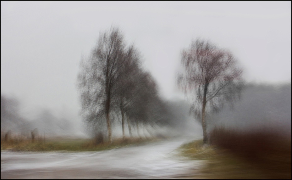 Ein Hauch Ostfriesland