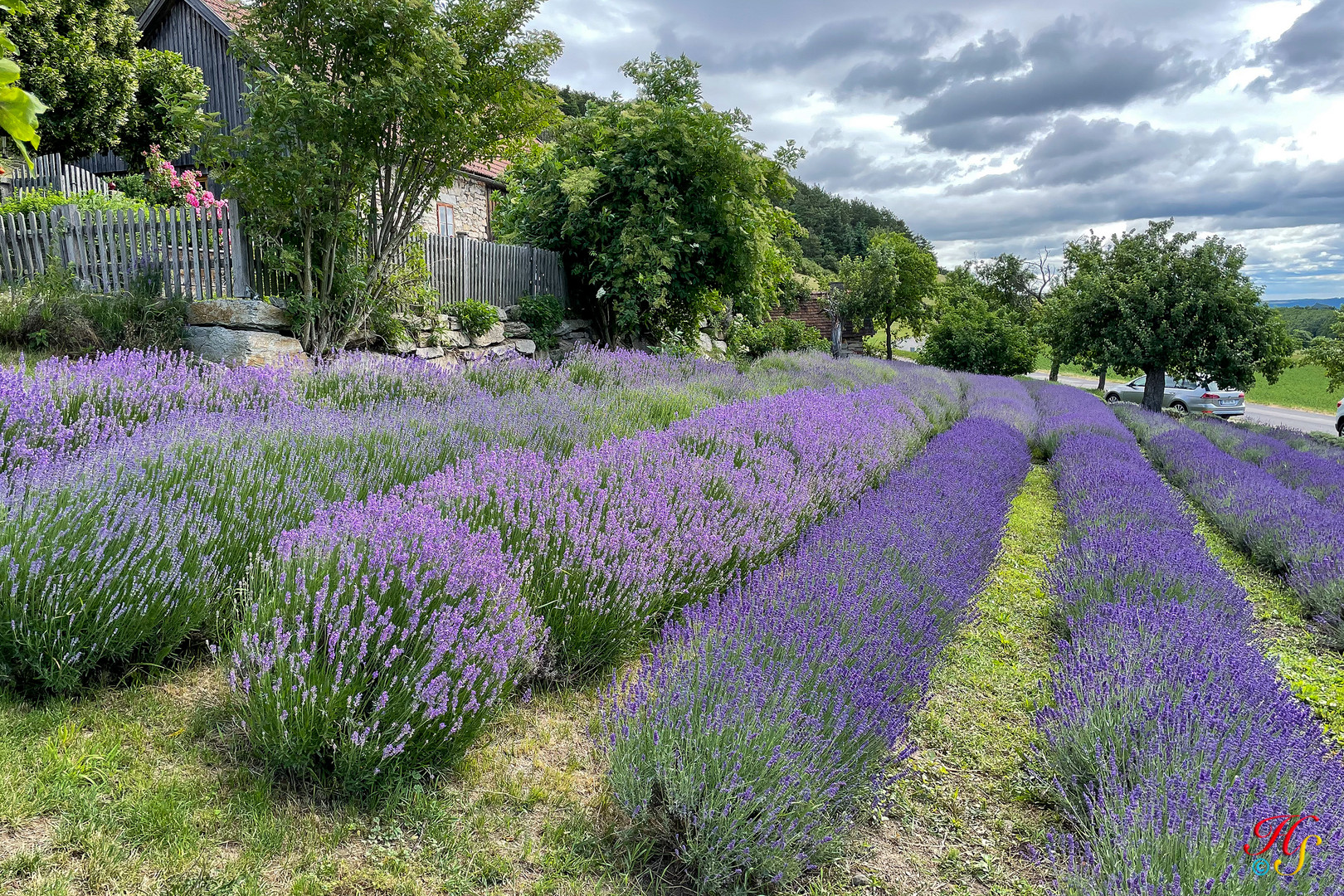 Ein Hauch Provence im Waldviertel