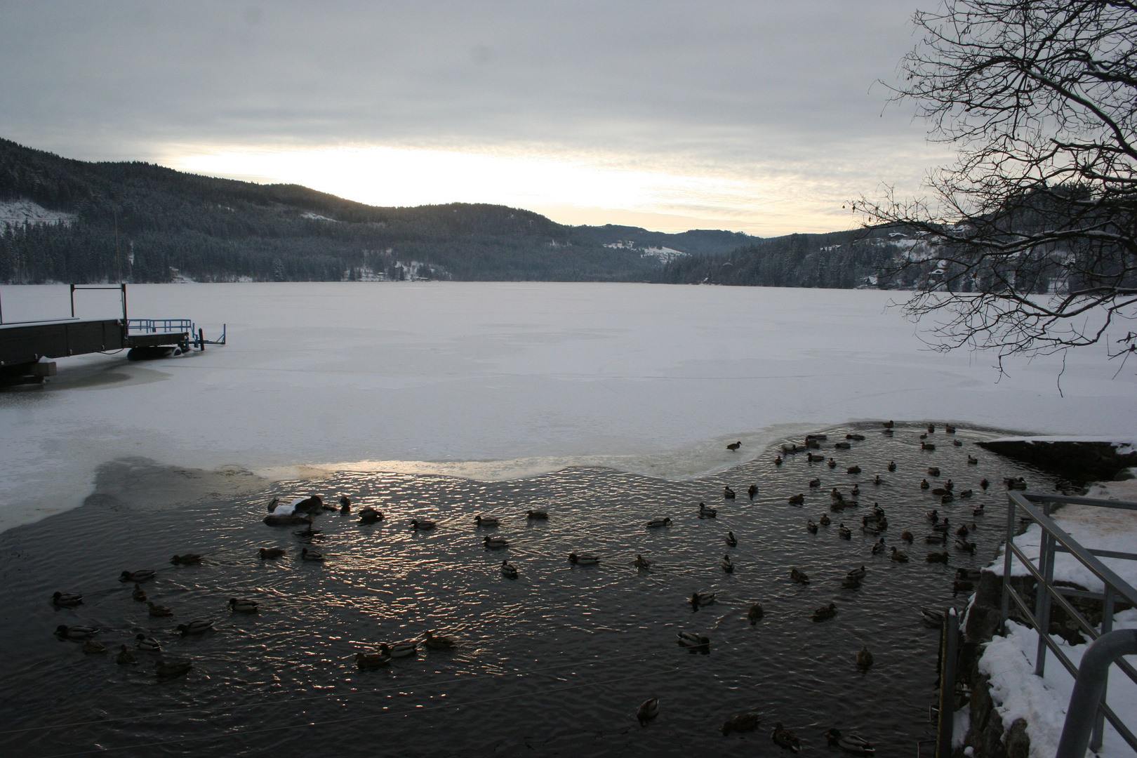 ... ein Hauch vom Märchen... am Titisee im Schwarzwald