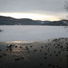 ... ein Hauch vom Märchen... am Titisee im Schwarzwald