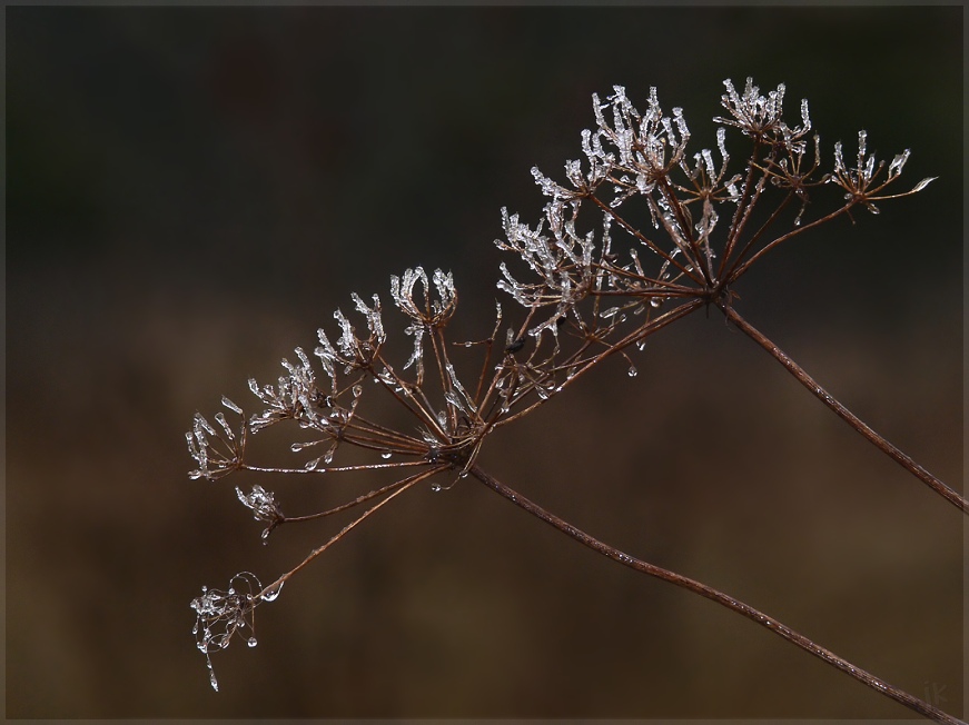 ein hauch vom winter