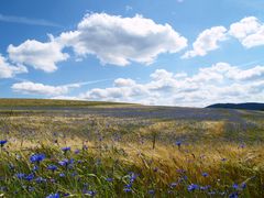 Ein Hauch von Blau