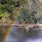 Ein Hauch von einem Regenbogen...