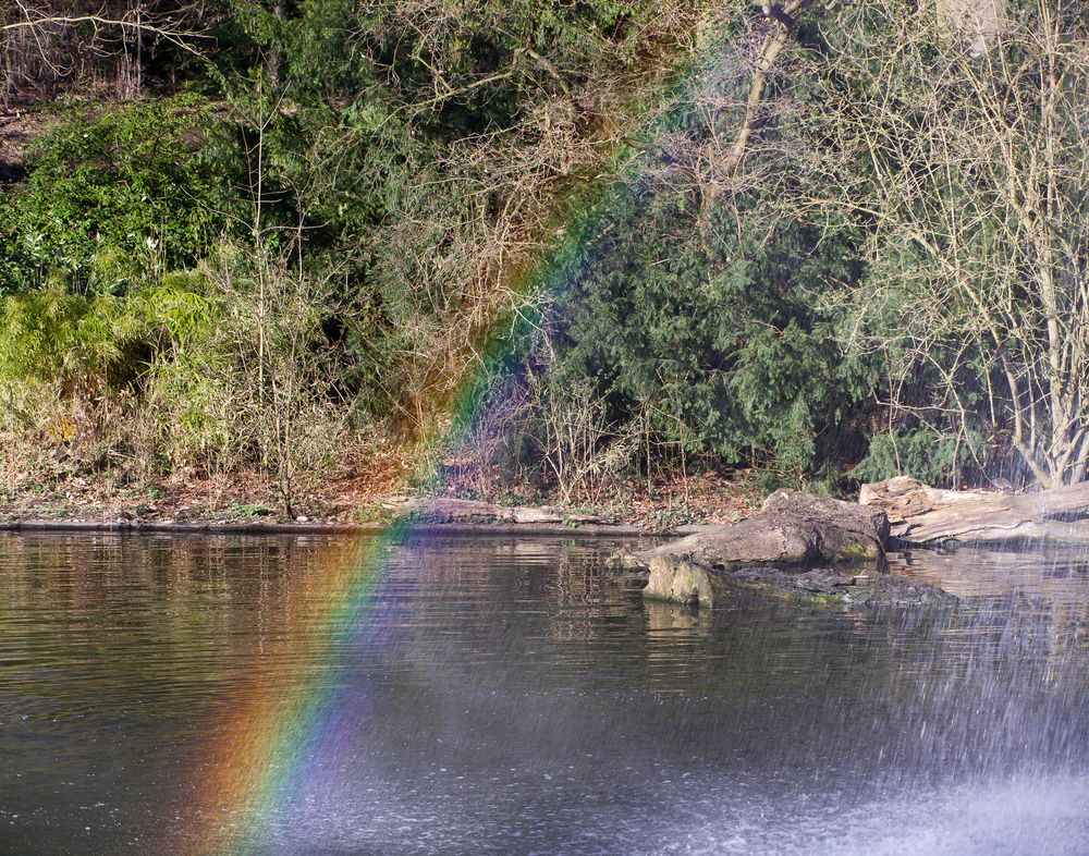 Ein Hauch von einem Regenbogen...