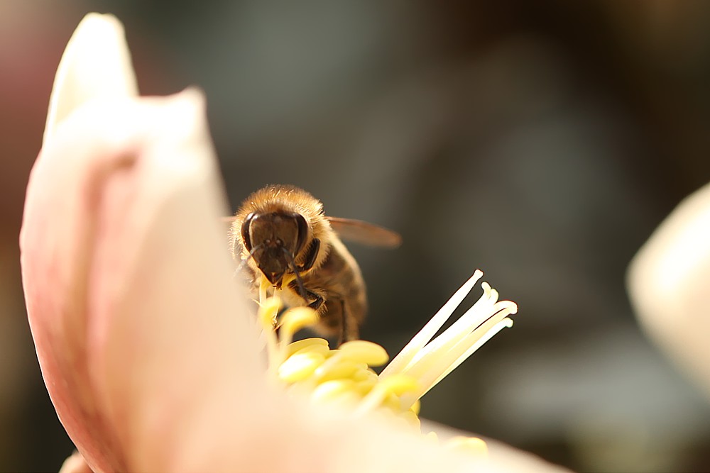 Ein Hauch von Frühling