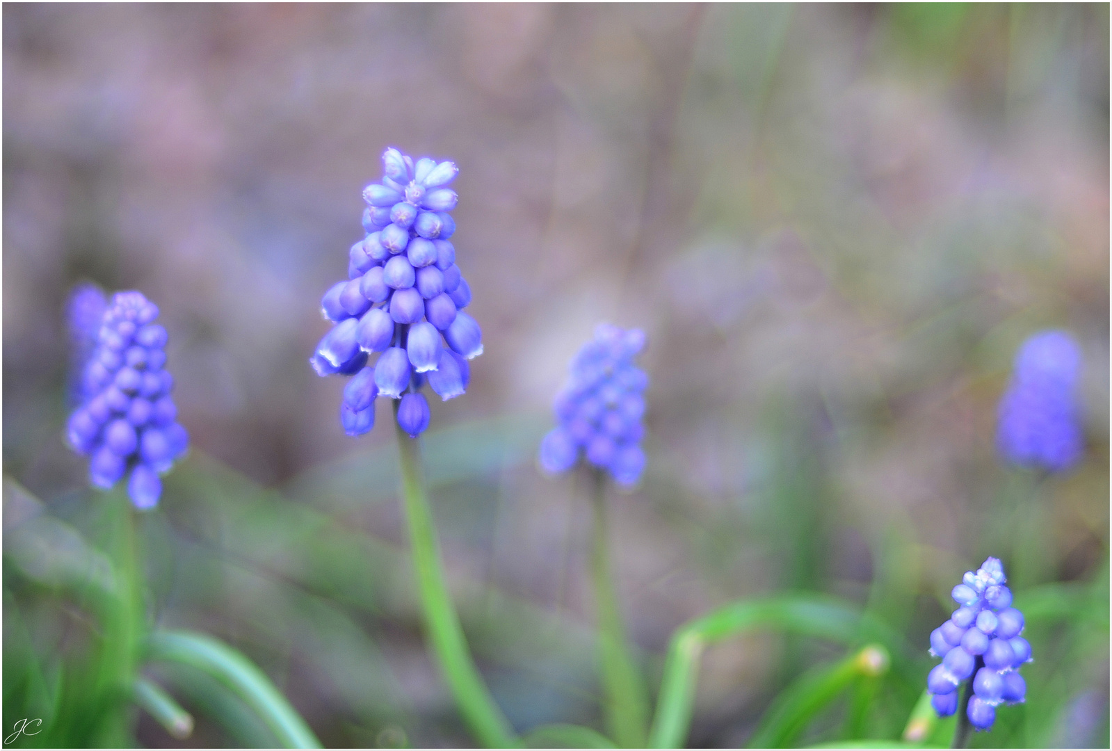 Ein Hauch von Frühling