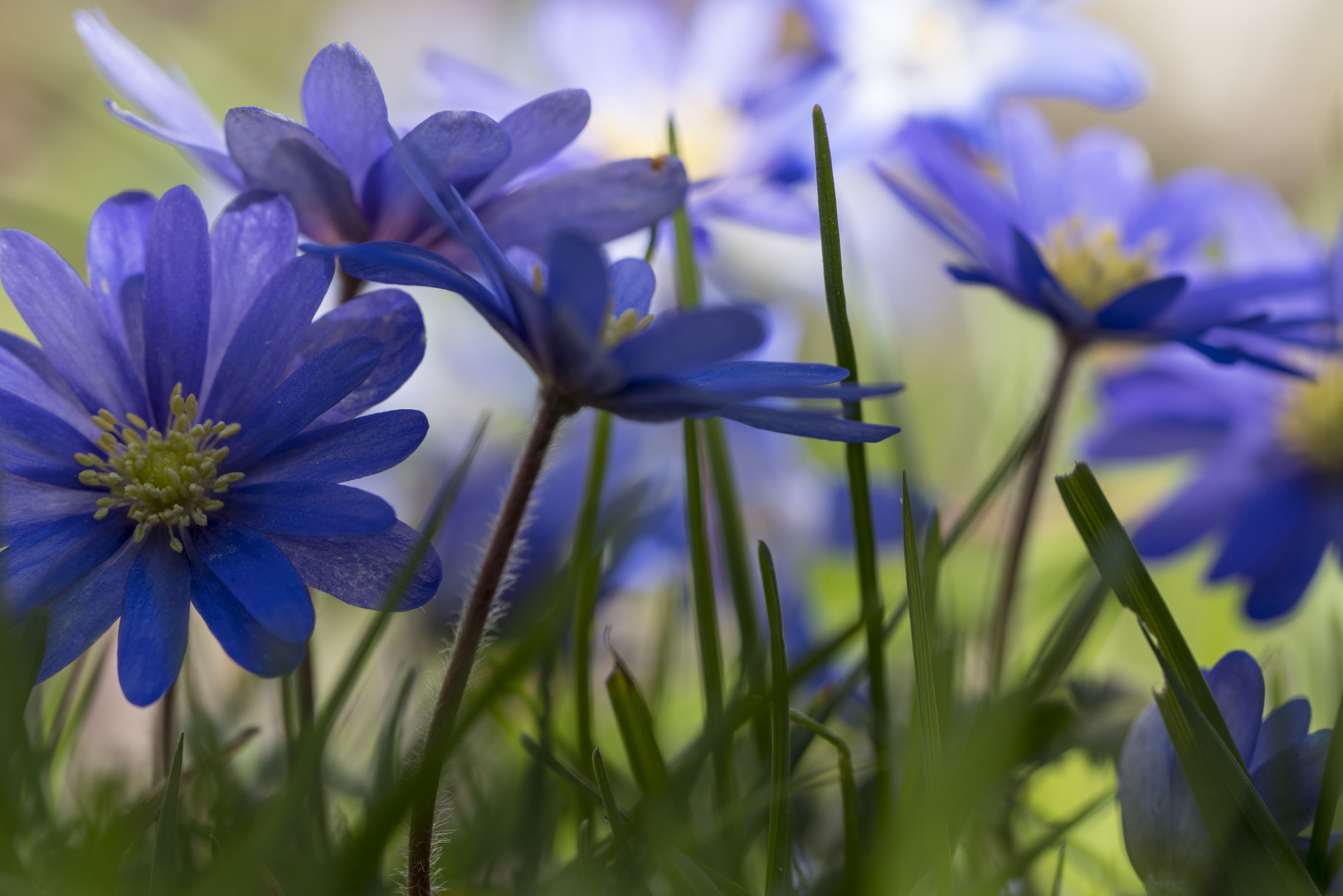 Ein Hauch von Frühling