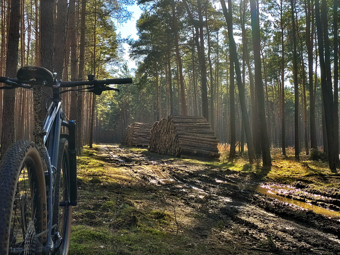 ein Hauch von Frühling