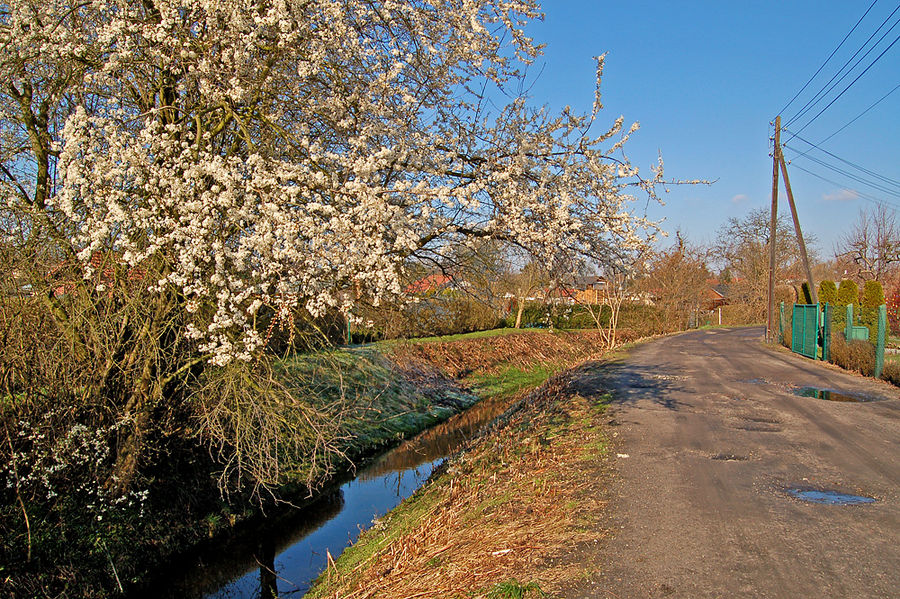 Ein Hauch von Frühling