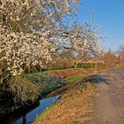 Ein Hauch von Frühling