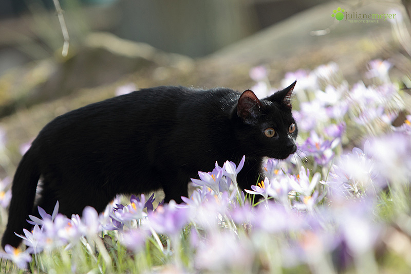 Ein hauch von Frühling!