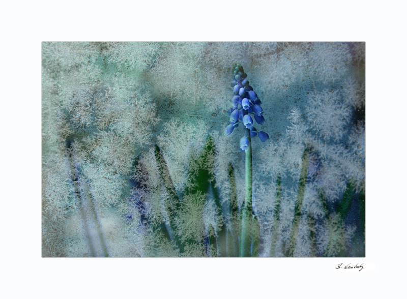 ein Hauch von Frühling