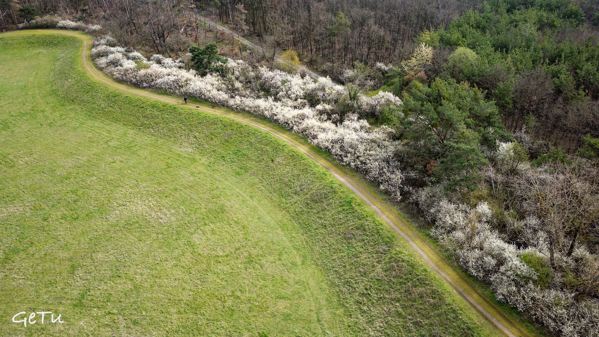 Ein Hauch von Frühling