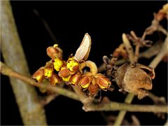 Ein Hauch von Frühling