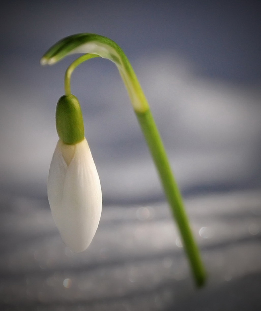 Ein Hauch von Frühling