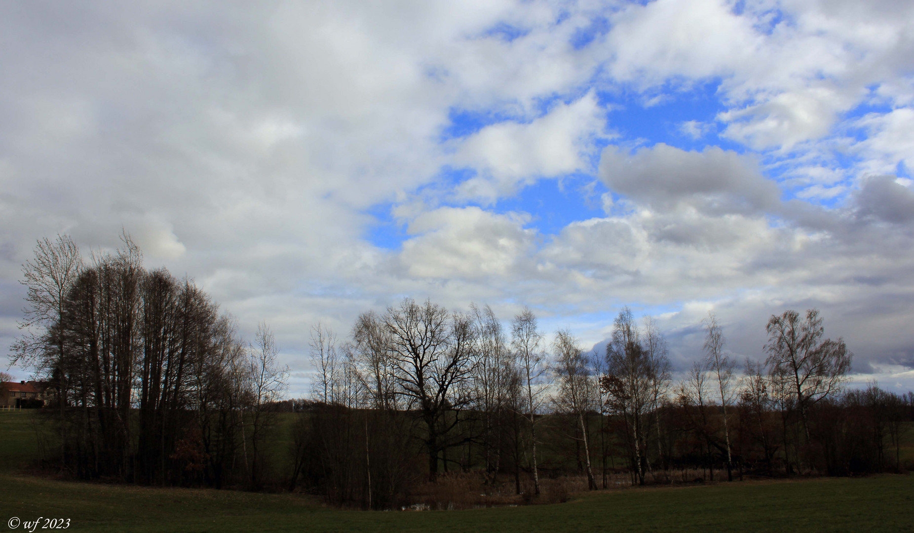 Ein Hauch von Frühling