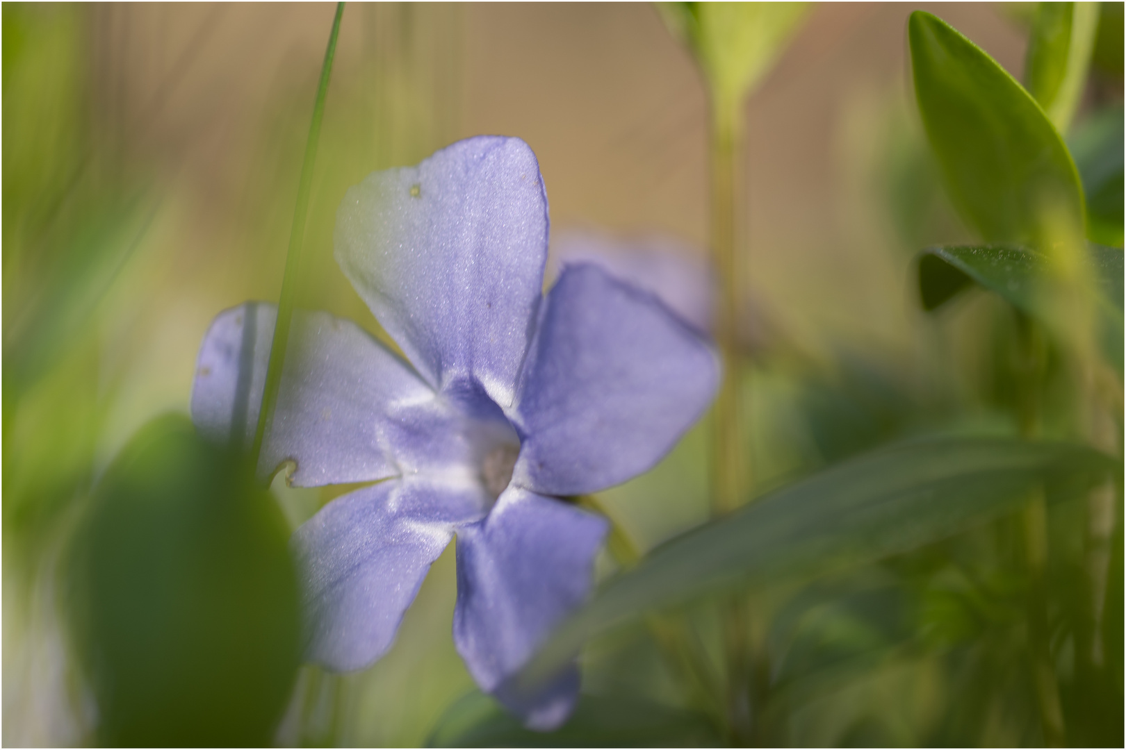 Ein Hauch von Frühling