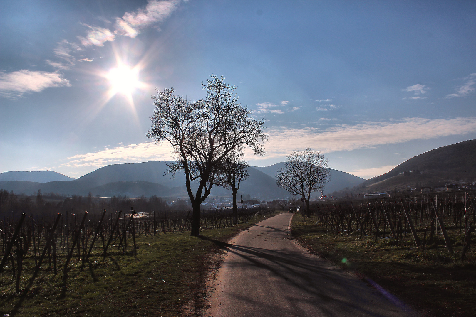 Ein Hauch von Frühling