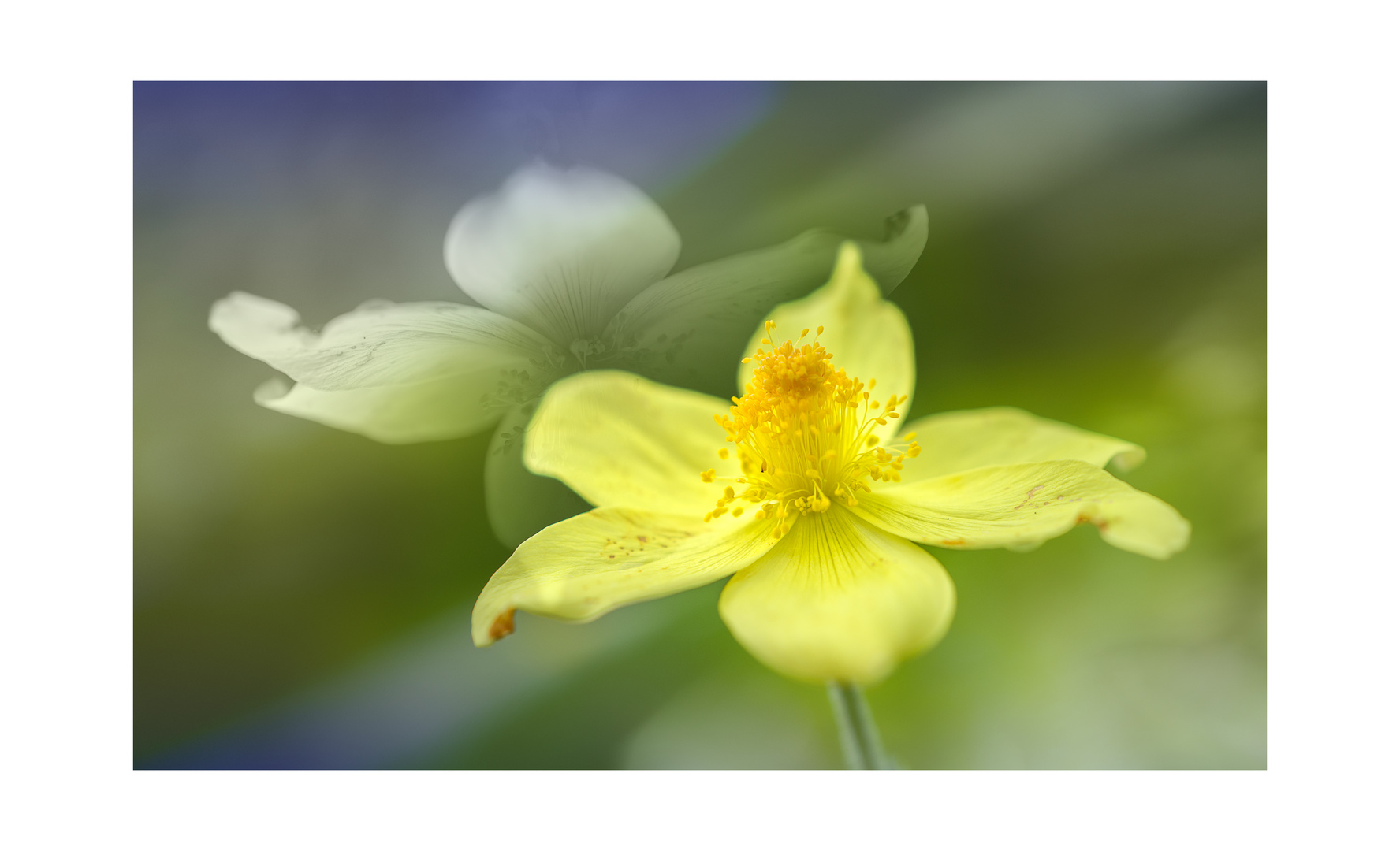 Ein Hauch von Frühling