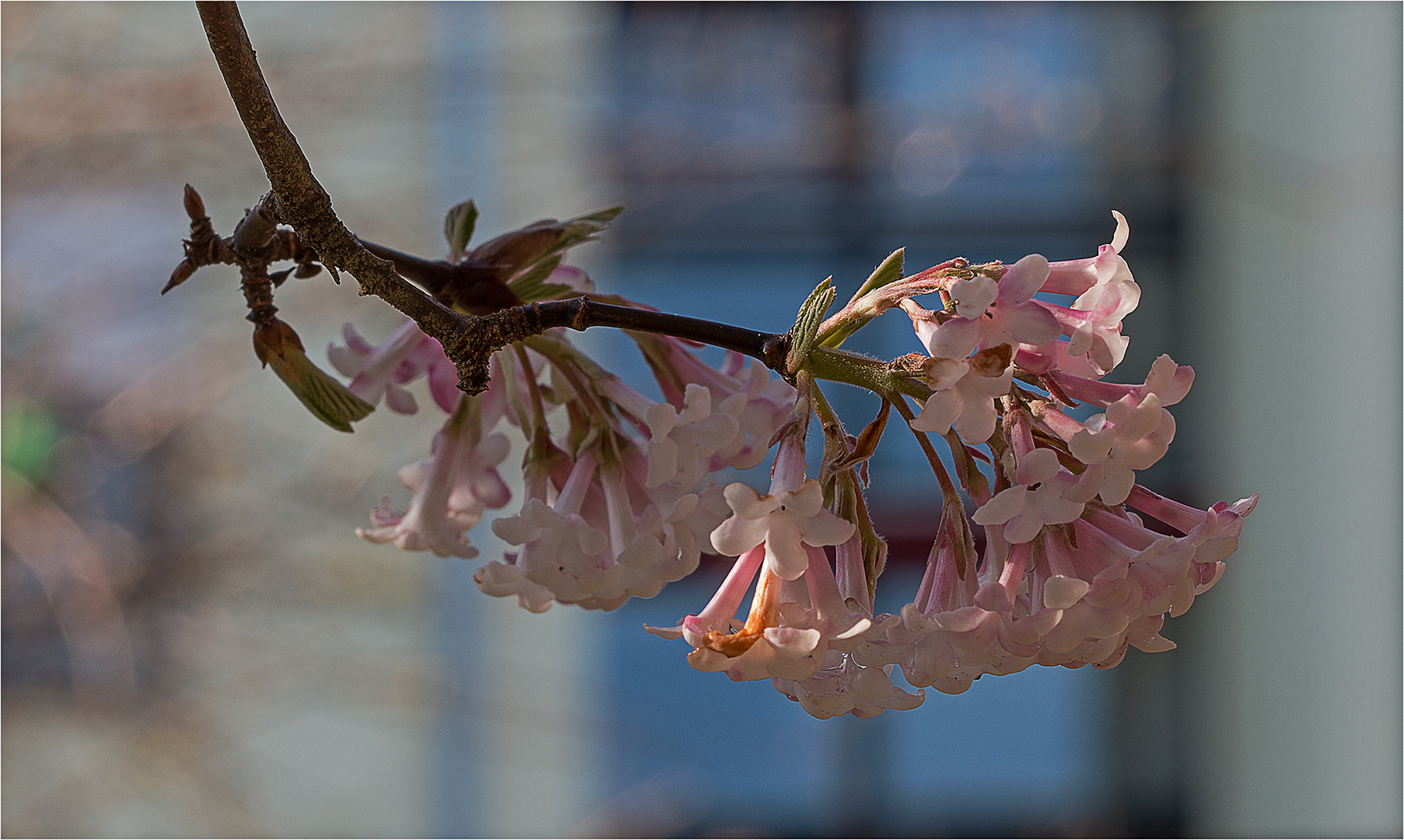 Ein Hauch von Frühling.