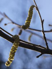 Ein Hauch von Frühling...