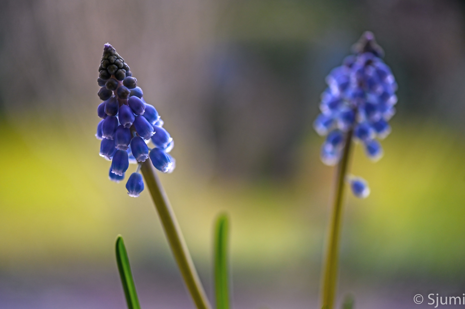 Ein Hauch von Frühling