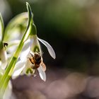 Ein Hauch von Frühling