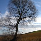 Ein Hauch von Frühling