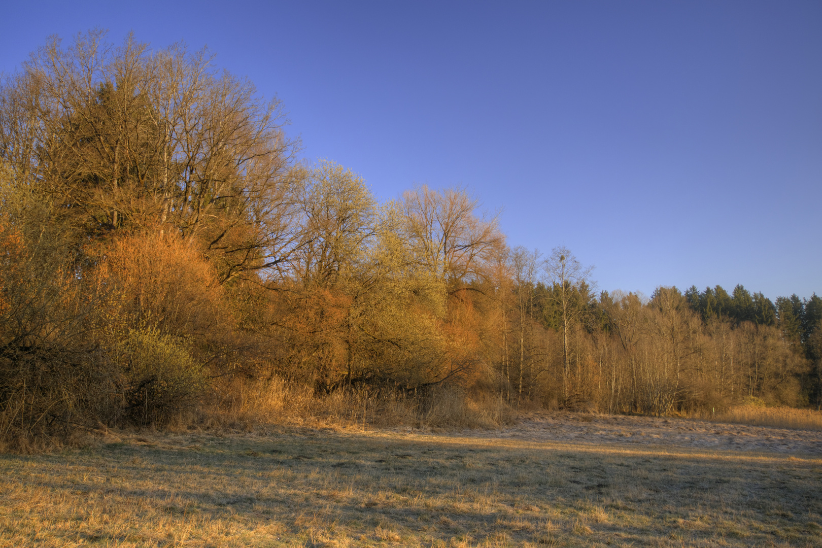 Ein Hauch von Frühling