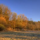 Ein Hauch von Frühling