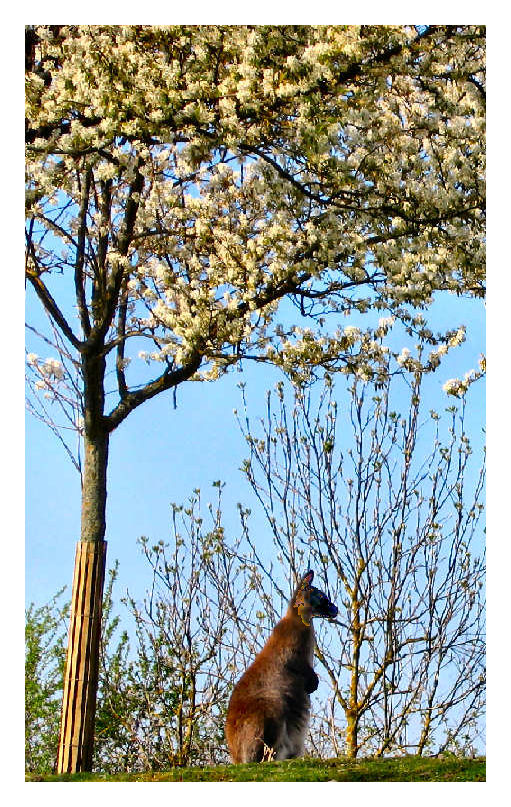 Ein Hauch von Frühling - die zweite