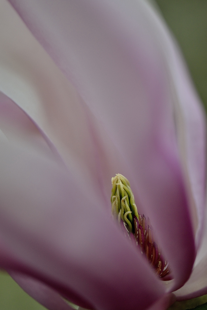 Ein Hauch von Frühling