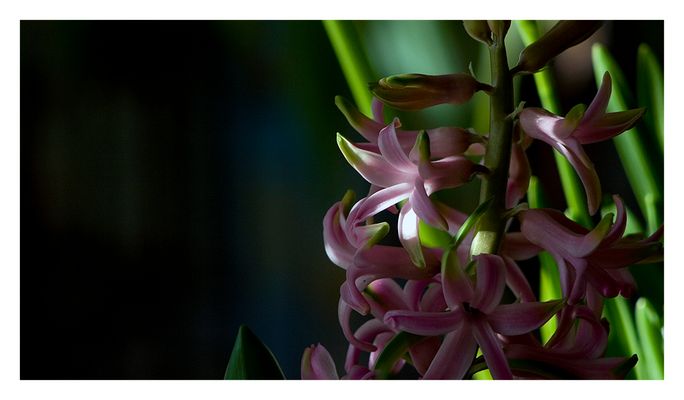 Ein Hauch von Frühling