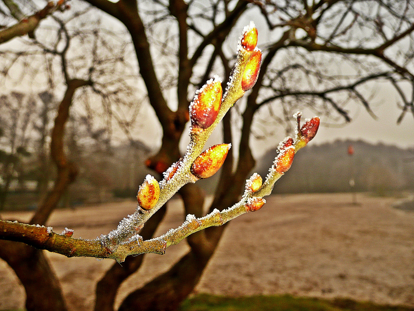 Ein Hauch von Frühling!